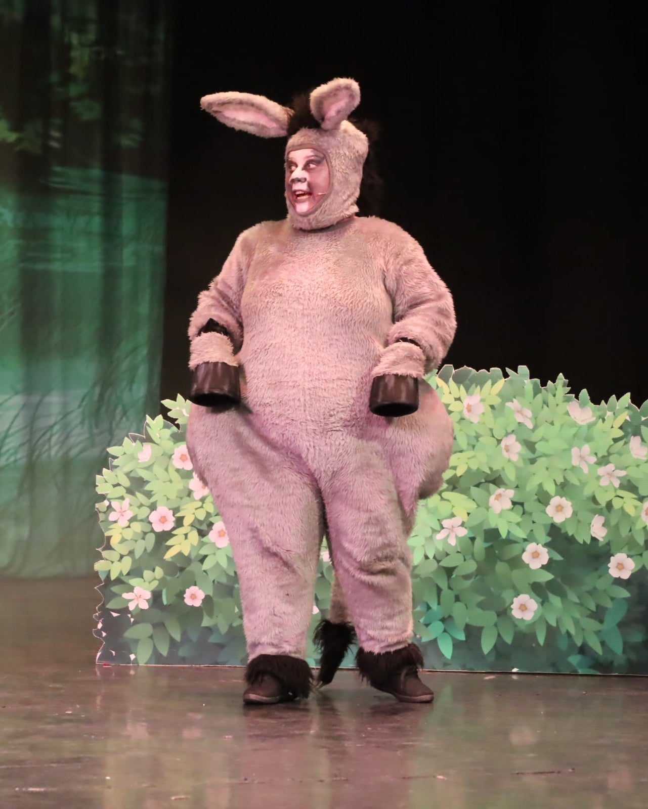 Donkey