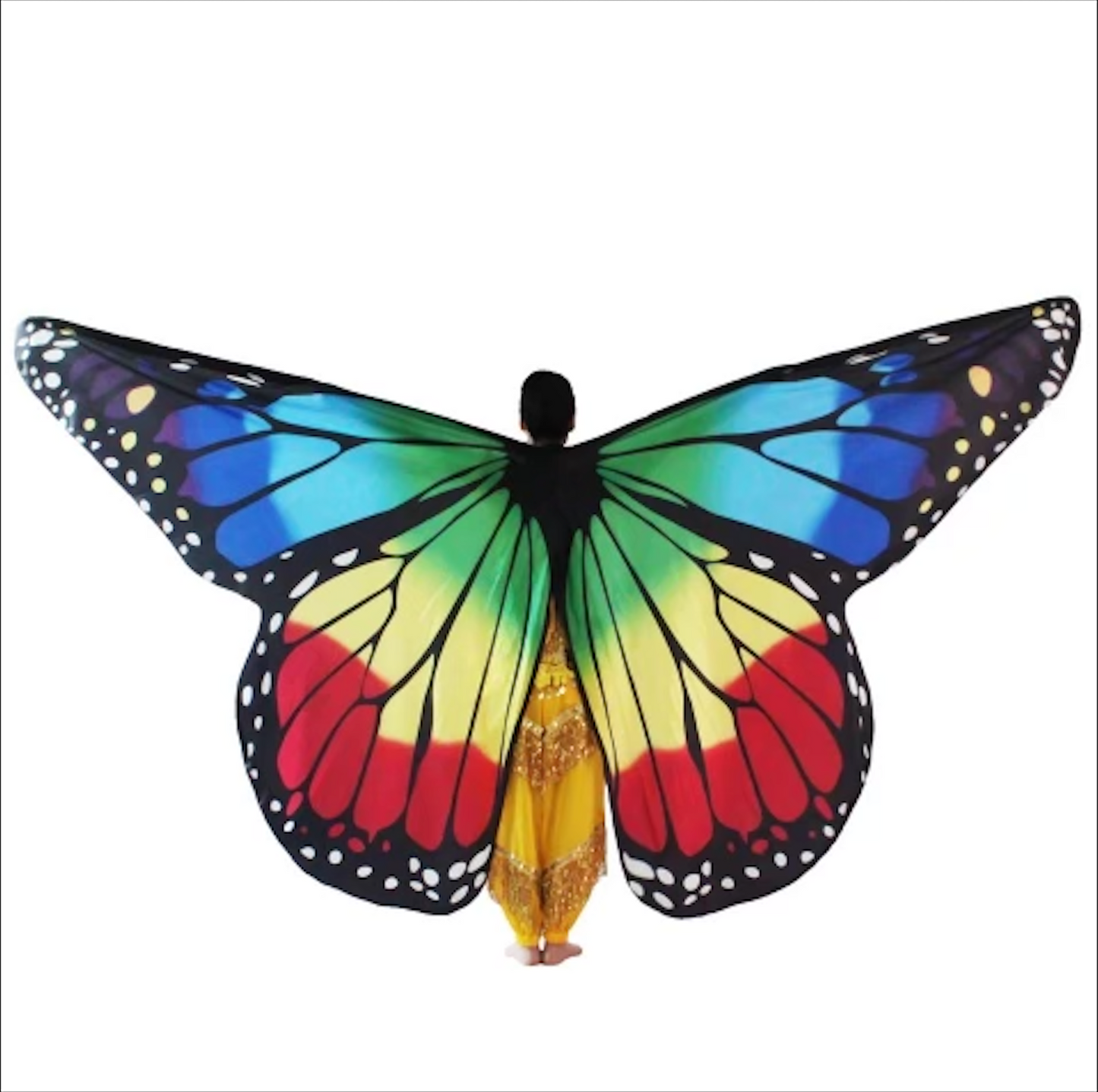 Butterfly Multicolor Print Wings