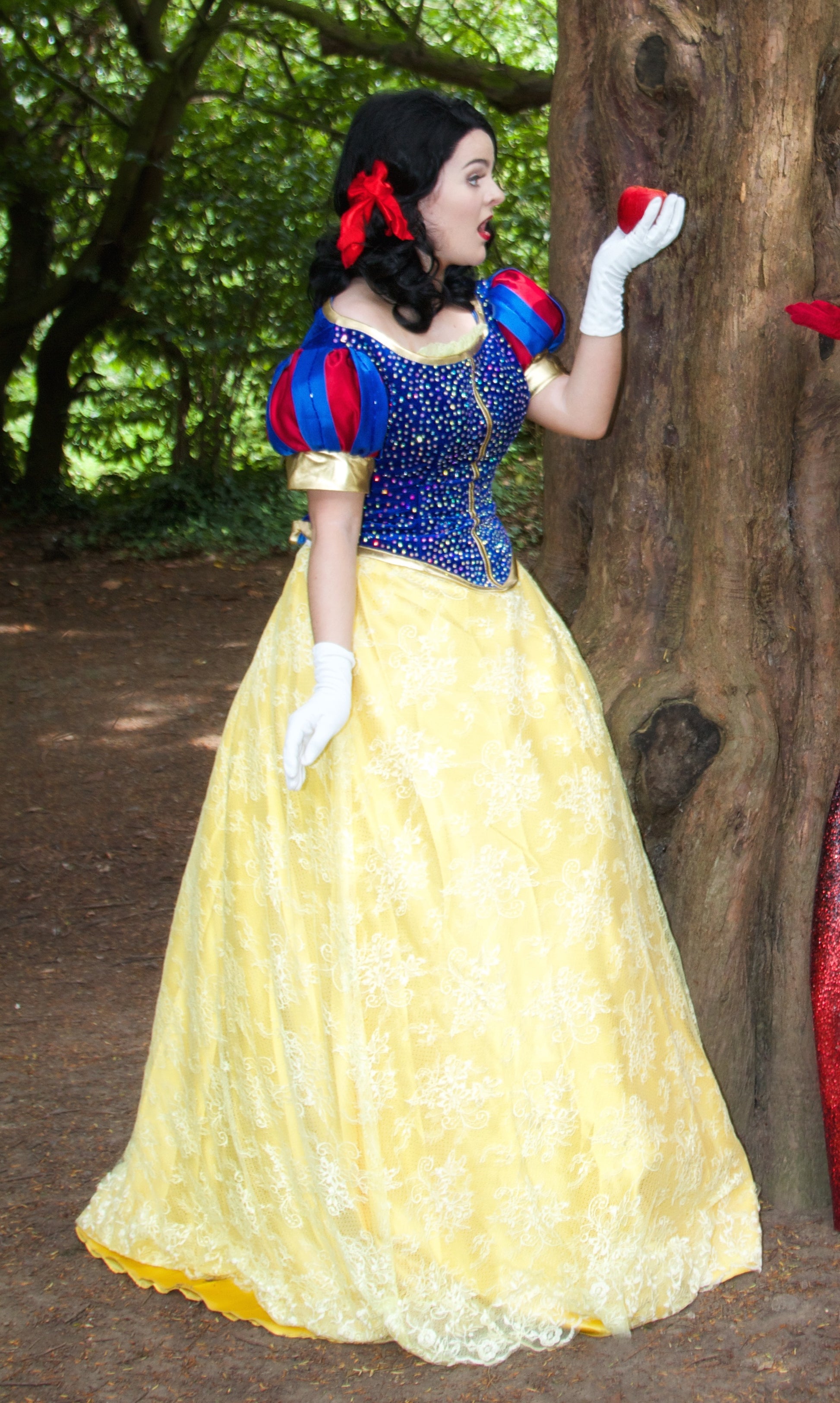 Snow White Dress – Sparkle Costume