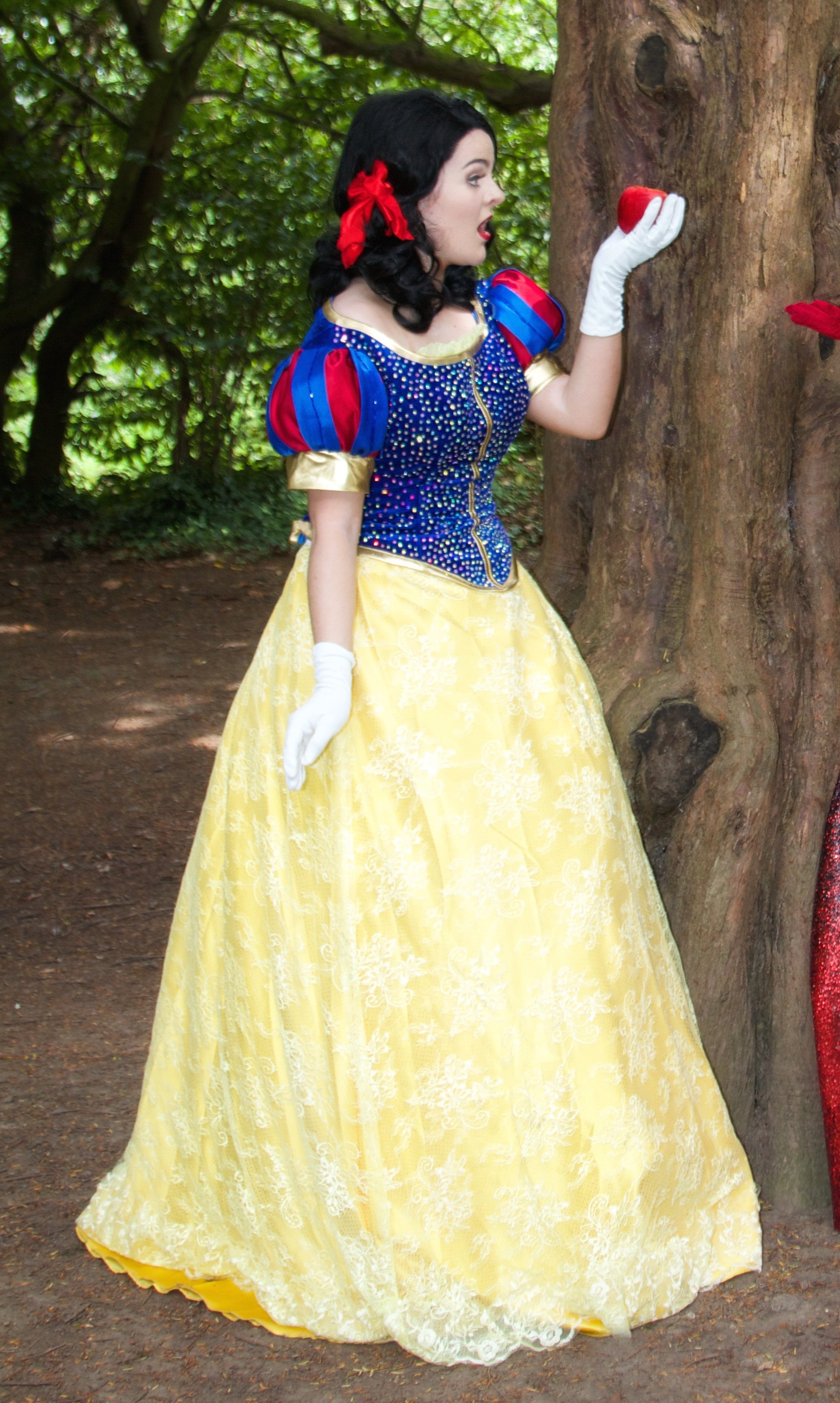 Snow White Dress – Sparkle Costume