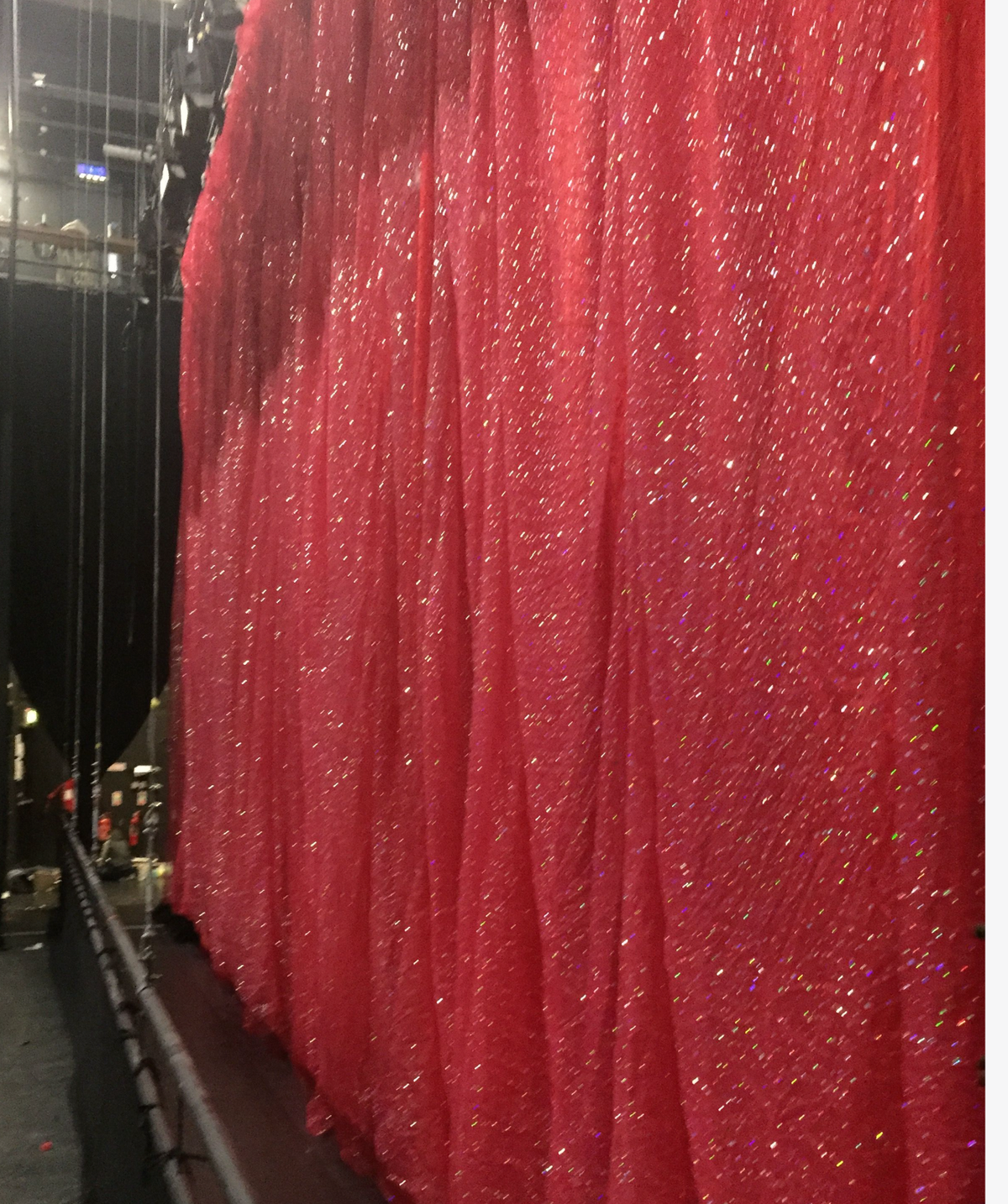 Red Glitter Curtain