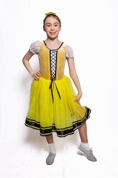 Velvet Top Villager Dress