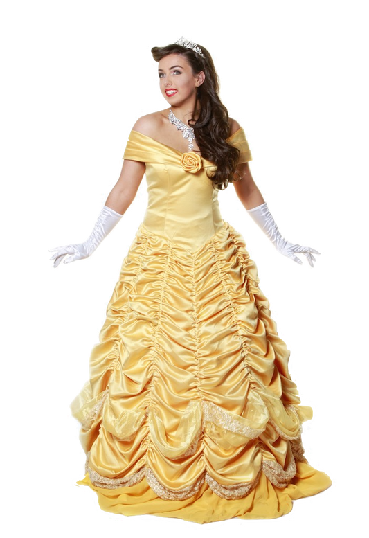 Belle Panto Deluxe Gold Dress