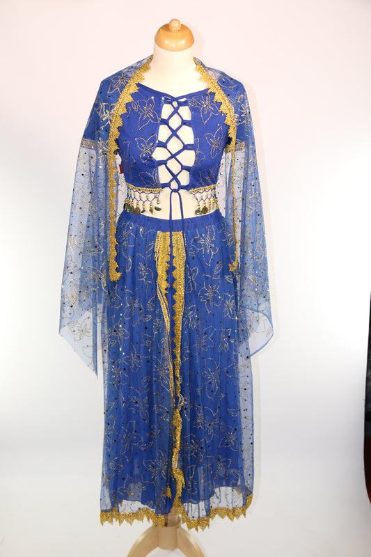 Blue Gold Arabian Handmaiden Two Piece