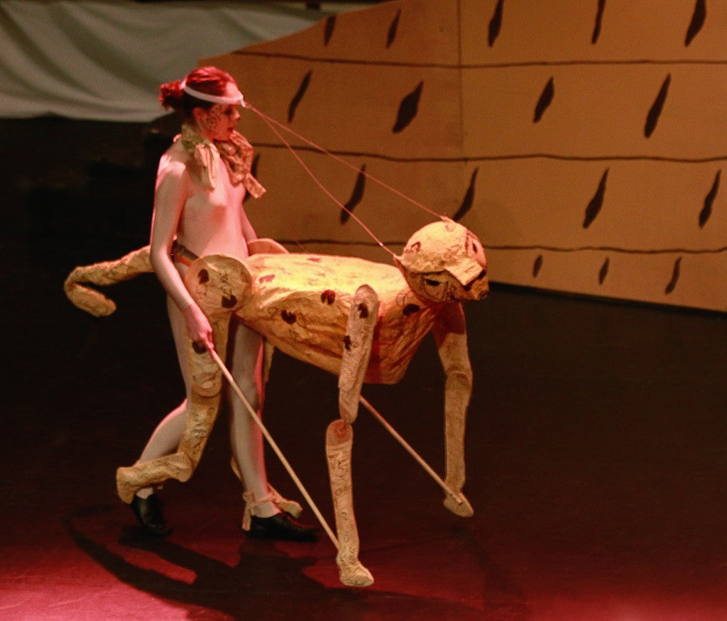 Lion King Puppets & Costumes