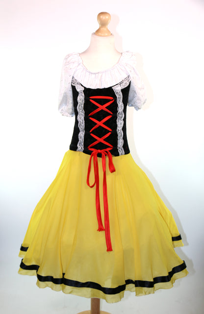Classic Boddess Chiffon Villager Dress Various