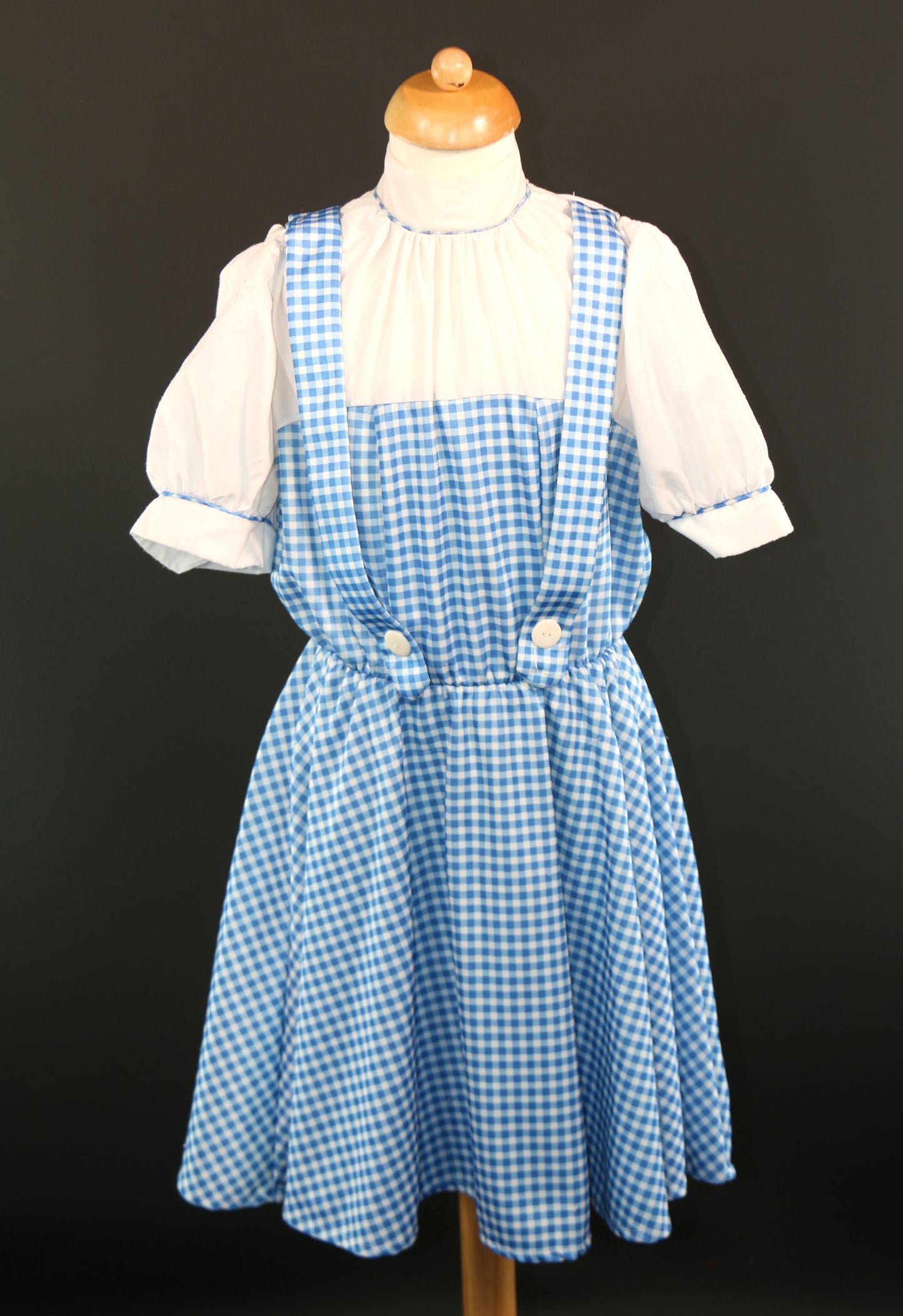 Dorothy Blue Gingam Junior Dress