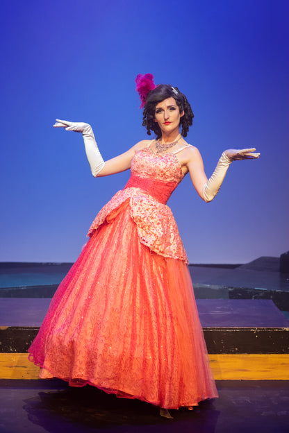 Pink Aurora Dress Panto Deluxe