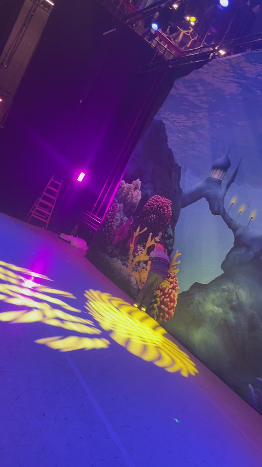 Sea Kingdom Backdrop