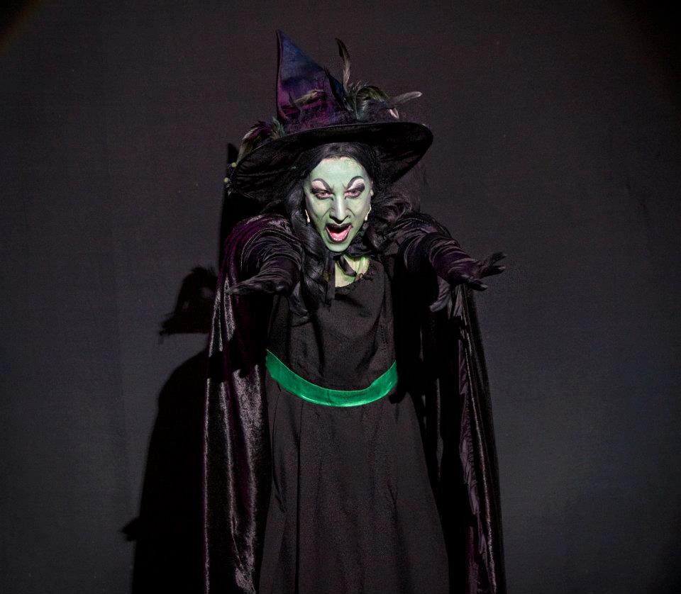 Traditional Wicked Witch Dress And Cape