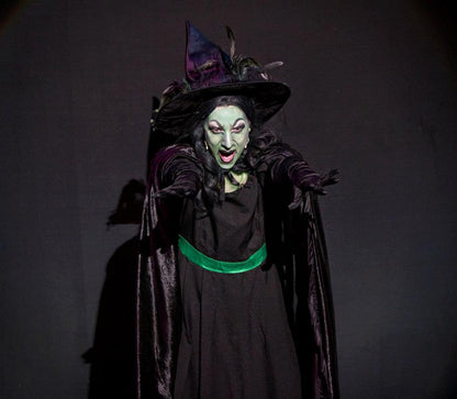 Traditional Wicked Witch Dress And Cape