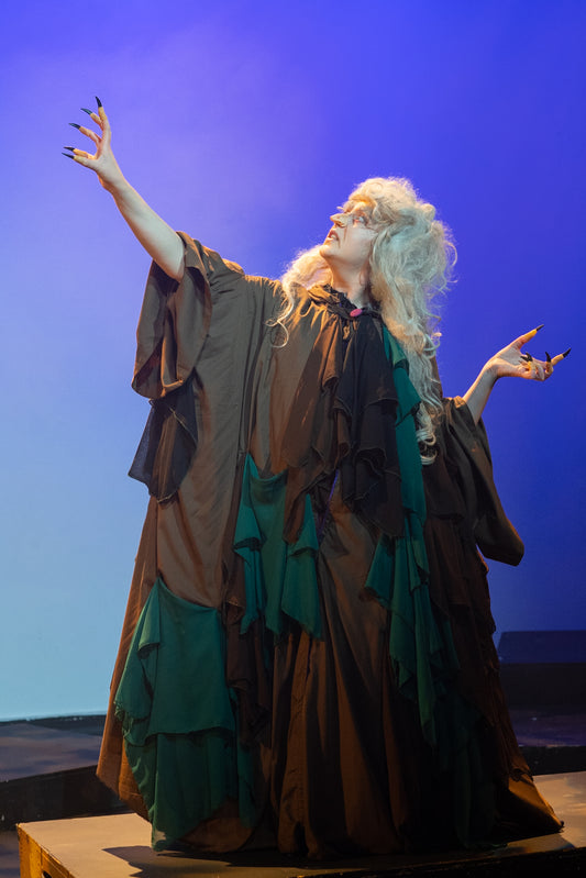 Transformation Wicked Queen Hag Cape