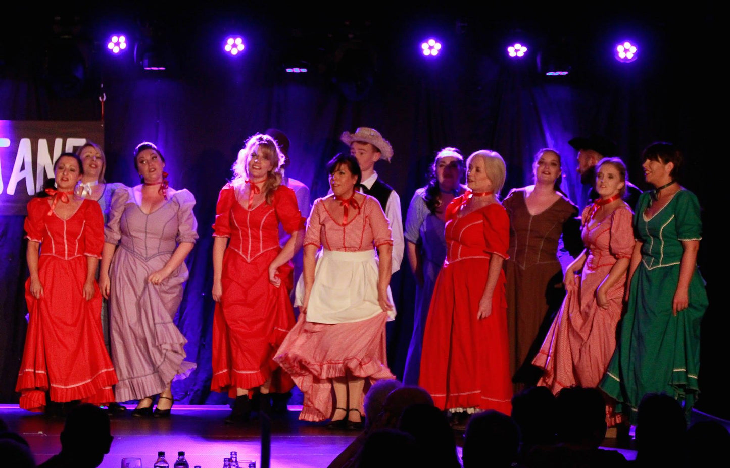 Gingham Plain Country Dresses Various
