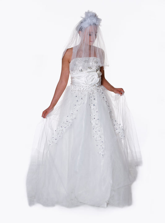 Aurora Wedding Dress